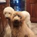 Ken Wiseman - Facebook