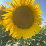 Ken Wiseman - @wisemanken42 - Instagram