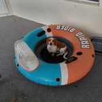 Kenneth Woolard - @finlerflea - Instagram