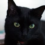 Ken Yoshida - @emmanuelamoah059 - Instagram