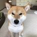 Ken Yoshida - Facebook