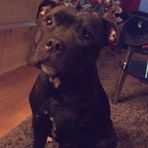 Kenan McDonald - Facebook
