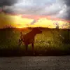 Kendal - @kendal.bowman - TikTok