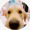 𝐊𝐄𝐍𝐃𝐀𝐋𝐋 🧁🩷 - @kendallsbeach - TikTok