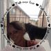 Kendall Booth - Facebook