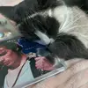 kendall (Paul's version) - @kendall_bowie - TikTok