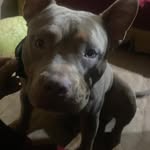 Padilla Scott - @kendallbryan - Instagram
