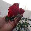 KendallCardona - @kendallcard1679 - TikTok