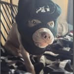 @kendall_charles_ - Instagram