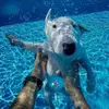 kendalldean - @kendalldean123 - TikTok