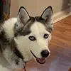 kendalldowns940 - @kendalldowns940 - TikTok
