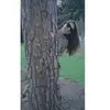 Kendall Greene - @kendallgreene - TikTok