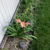 Kendall.Greene - @pget33 - TikTok