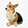 Kendall_Griffin - @kendall1290apbd - TikTok