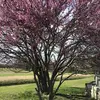 kendallherbert - @kendallherbert5 - TikTok