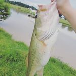 kendallhobbs - @kendallhobbs1 - Instagram