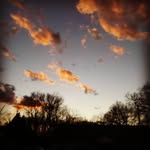 Kendall Hurst - @kendall_92408 - Instagram