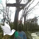 Jasper Kendall - @jasper.kendall.9 - Instagram