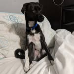 Jasper Ronald Kendall - @jasperronaldkendall - Instagram
