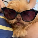Kenny🐾 - @kendall_josephine07 - Instagram