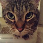 Kendall Link - @klink3255 - Instagram