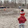 Cow_k_84 - @kendallmccarter64 - TikTok
