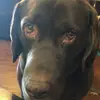 kendallmcdowell - @kendallmcdowell - TikTok