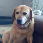 Kendall Meyer - @meyer_ken2009 - Instagram