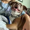kendall meyer - @kendall.meyer80 - TikTok