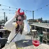 Kendall Moede - @kendallmoede6 - TikTok