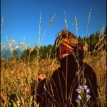 Kendall Peacock - @wyoming_peacock - Instagram