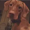 Kennadall - @kendallpenny - TikTok