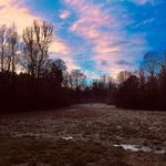 Kendall Read - @kread_81 - Instagram