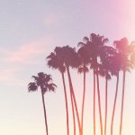 Kendall Ringo - @kendallringo.photography - Instagram