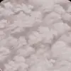 Kendall sharp - @inam...vibes - TikTok