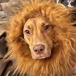 Kimberly Kendall Stroud - @kimbostroud1 - Instagram