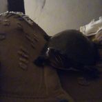Kendall Travis - Facebook