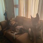Travis Kendall - Facebook