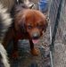 Kendall Watson - Facebook