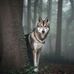 Kendra Baroman - Facebook