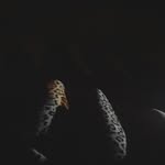 kendra - @kendra_backup115 - Instagram