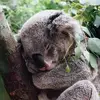 Kendra Beckett - @kendra_beckett - TikTok
