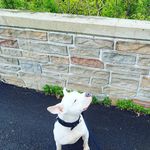 Kendra Benjamin - @ancientvoidstorm - Instagram