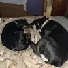 Kendra! - @kendra.betts.backup - TikTok