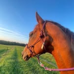 Kendra Neese Bowers - @kneesebowers - Instagram