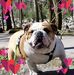 Kendra Brewer - Facebook