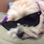 Kendra Brewer - @kendrabrewer2020 - Instagram