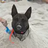 kendrabunch35 - @kendrabunch35 - TikTok