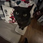 Kendra Burke - @kendra_burke2025 - Instagram
