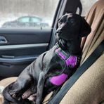 Kendra Clement - Facebook